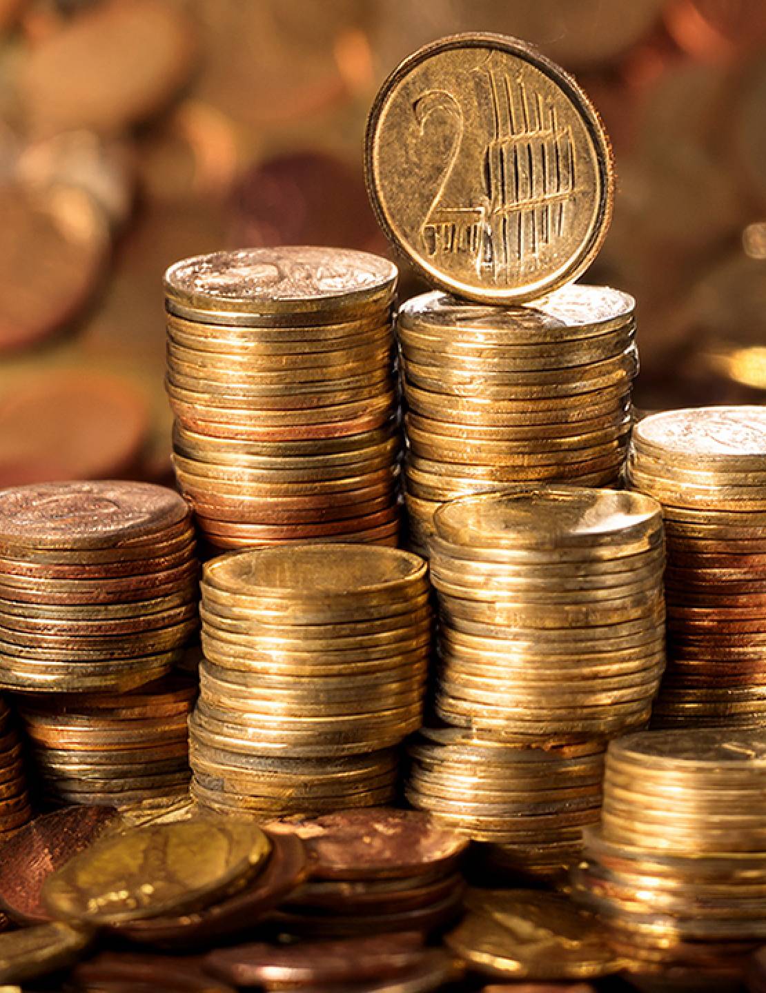 Támogatóink 2024-ben